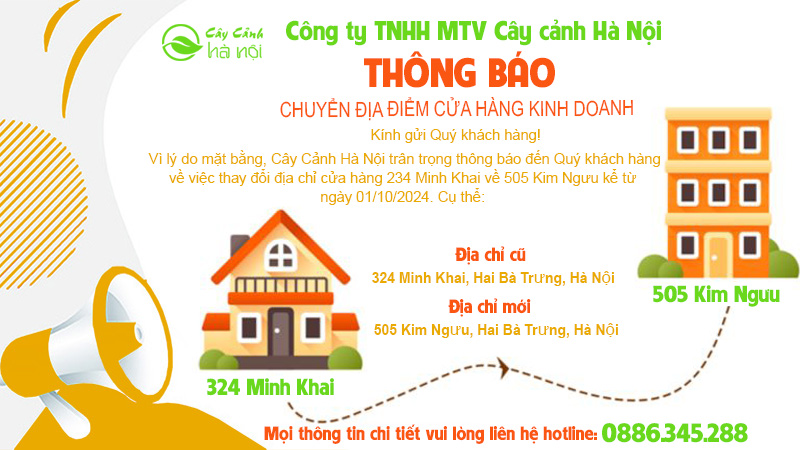 đánh bài đổi thưởng Hồ Chí Minh đổi thưởng